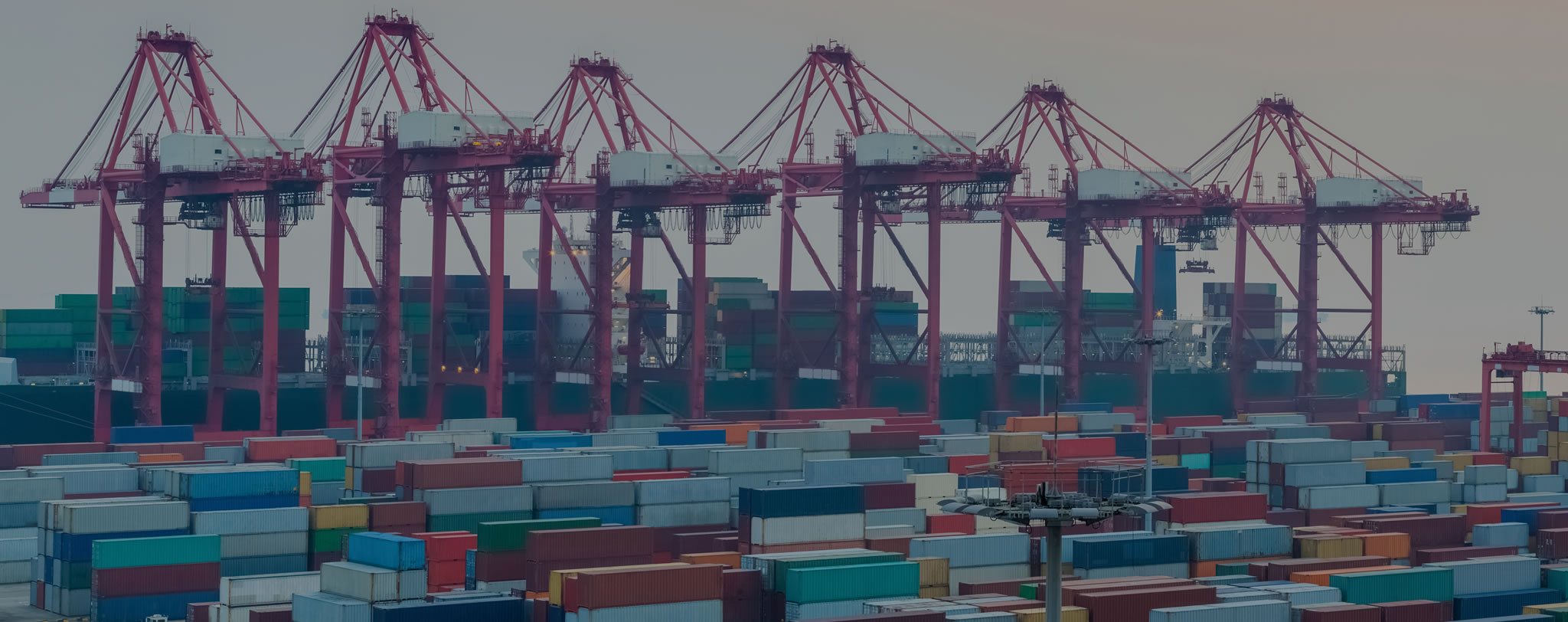 Agente de Aduanas y Carga en La Guaira, Venezuela