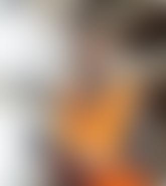 Cotizar un Servicio de Aduana