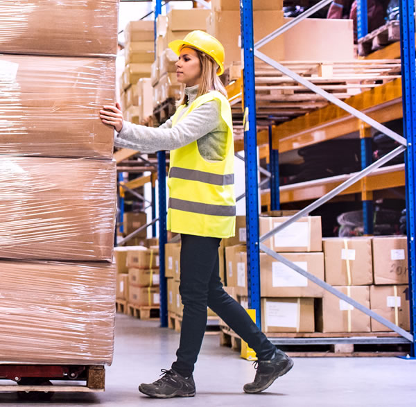 Asesores de Logística en Venezuela